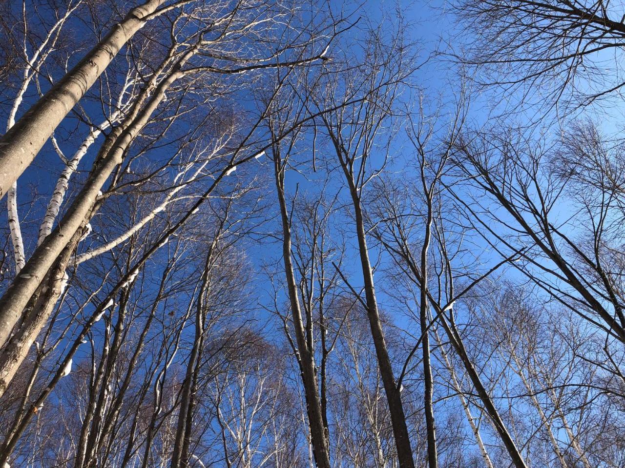 99m2 2 slaapkamer, 1 privé badkamer Huis in Higashikagura Asahikawa Buitenkant foto